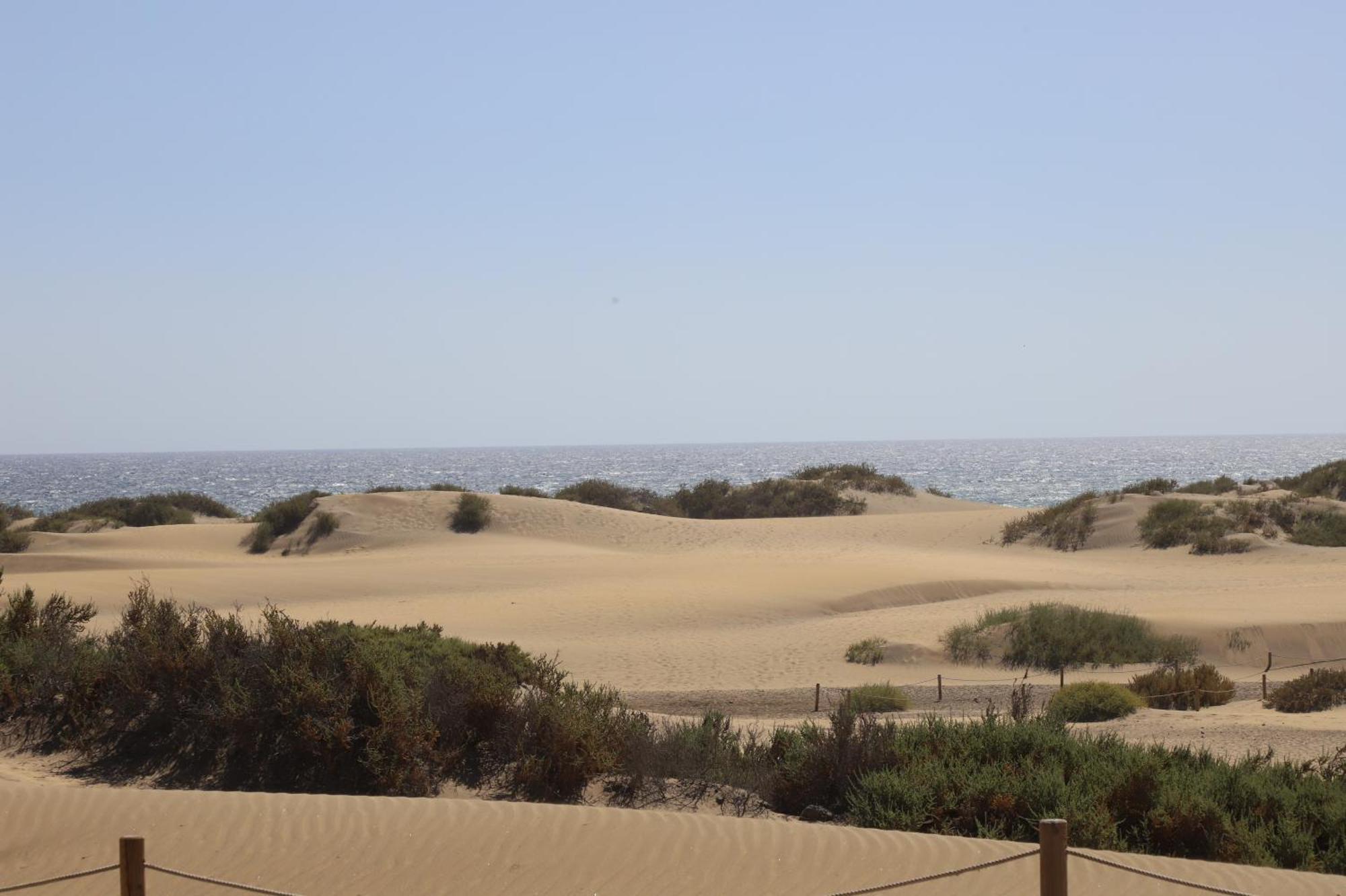 Leilighet Confortevole Playa del Inglés